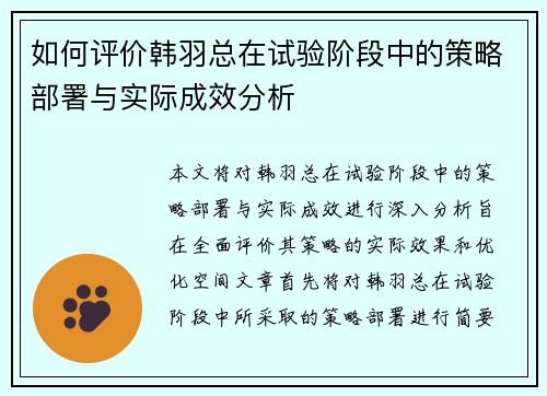 如何评价韩羽总在试验阶段中的策略部署与实际成效分析