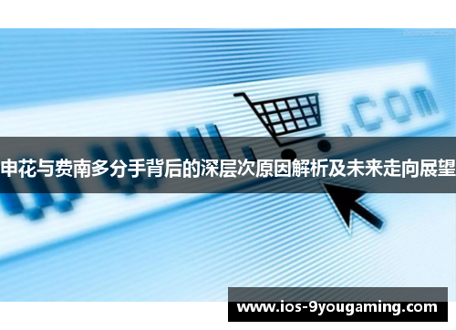 申花与费南多分手背后的深层次原因解析及未来走向展望