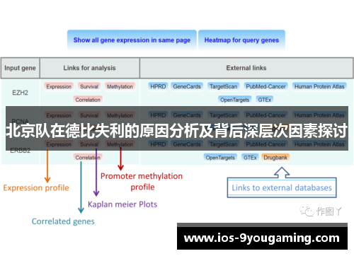 北京队在德比失利的原因分析及背后深层次因素探讨