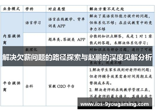 解决欠薪问题的路径探索与赵鹏的深度见解分析