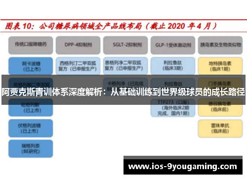 阿贾克斯青训体系深度解析：从基础训练到世界级球员的成长路径