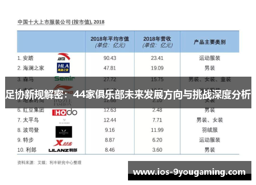 足协新规解密：44家俱乐部未来发展方向与挑战深度分析