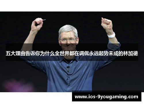 五大理由告诉你为什么全世界都在调侃永远起势未成的林加德