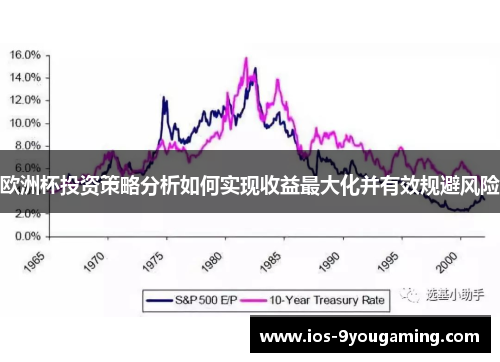 欧洲杯投资策略分析如何实现收益最大化并有效规避风险